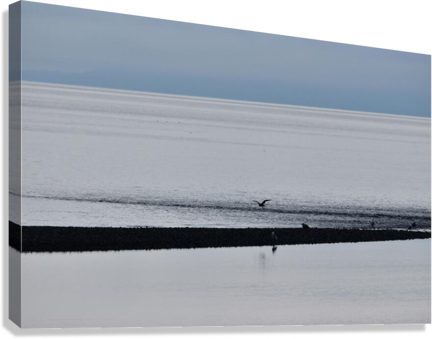 The calm 4 Canvas Print