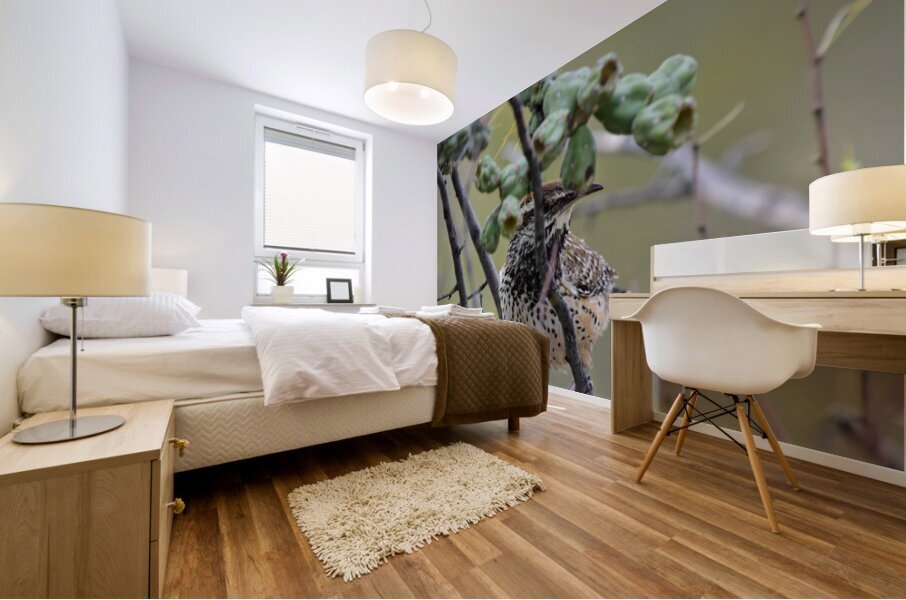 cactus wren Mural print
