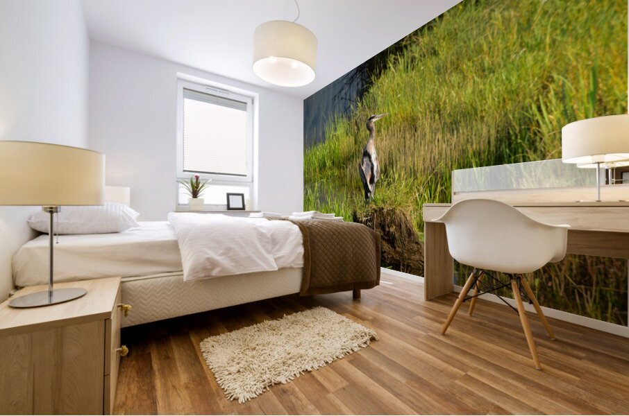 Feather stretch Mural print