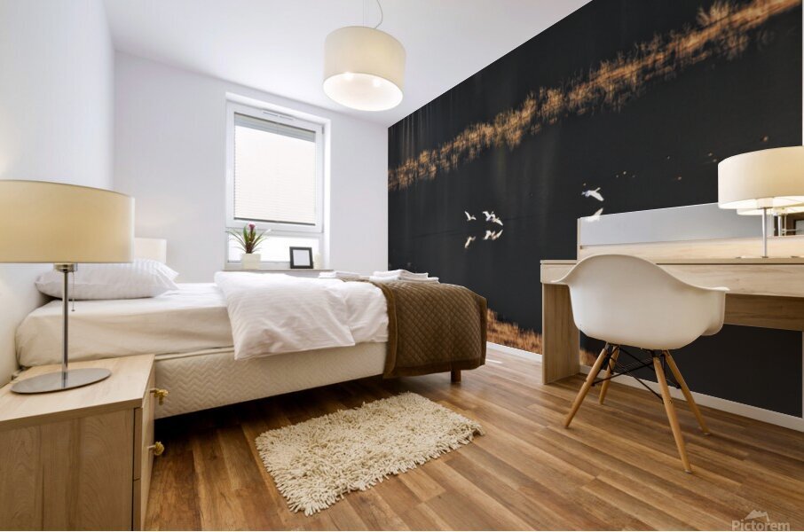 Surface landing edited Mural print