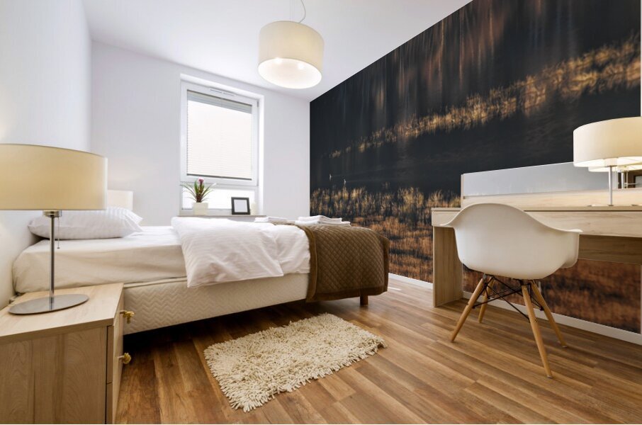 Surface gliding Mural print