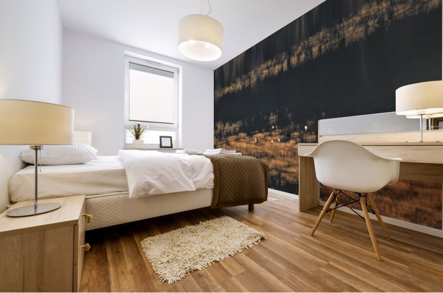 surface gliding 2 Mural print