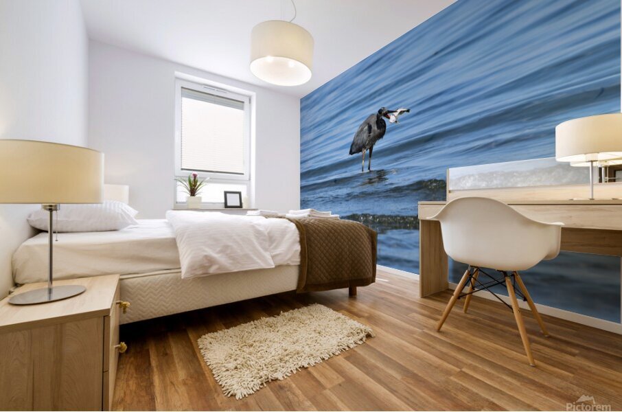 sea catch 2 Mural print