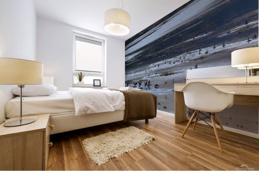 Descent Mural print
