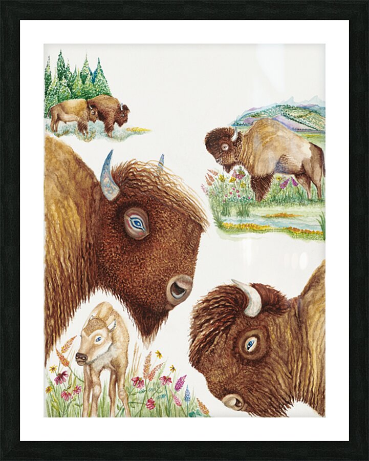 Bison  Picture Frame print