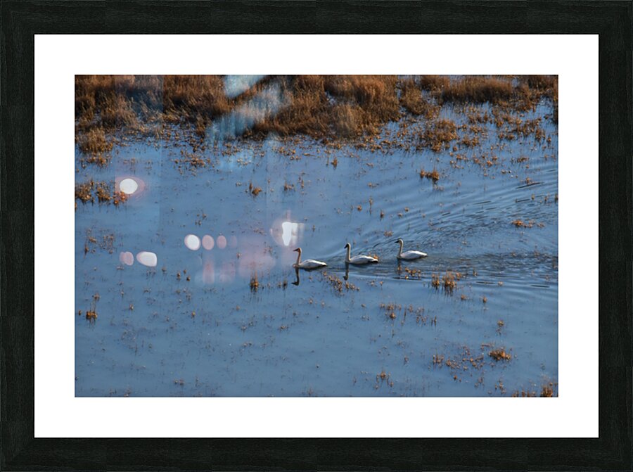 Getting away Picture Frame print