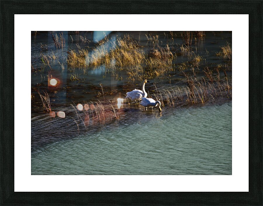 Stepping  Picture Frame print