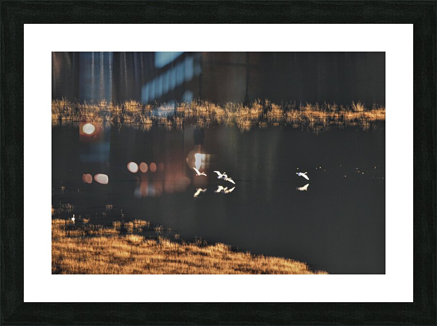 Surface landing edited Picture Frame print
