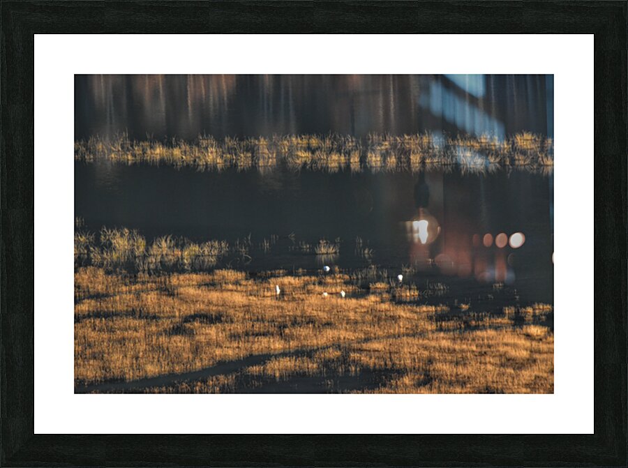 surface gliding 2 Picture Frame print