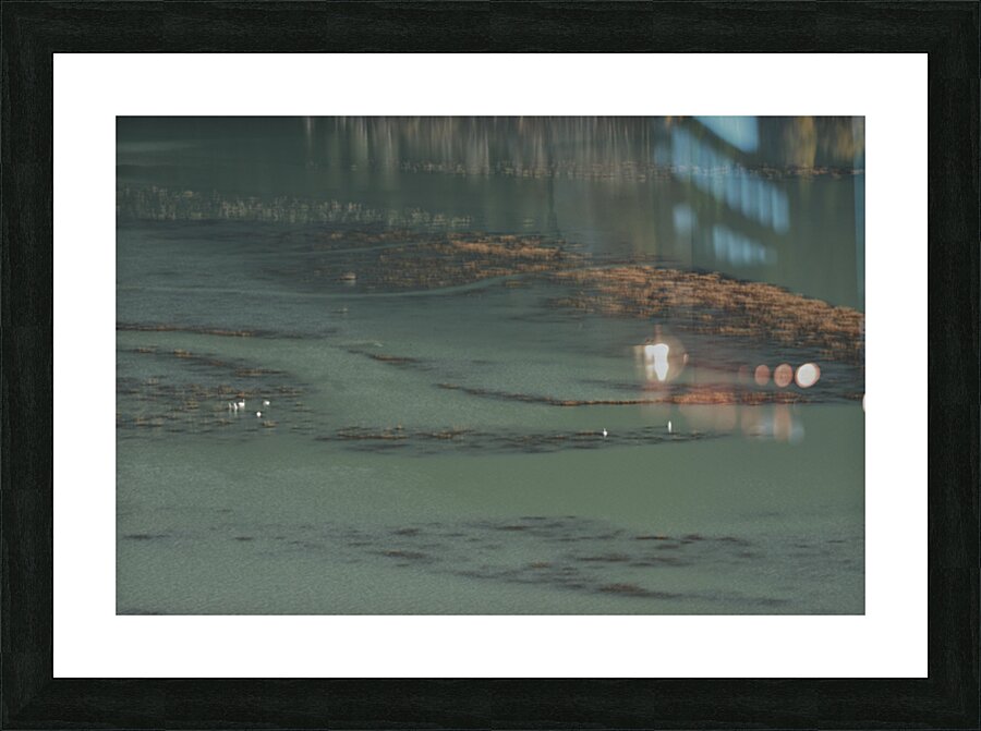 The Basics 1 Picture Frame print