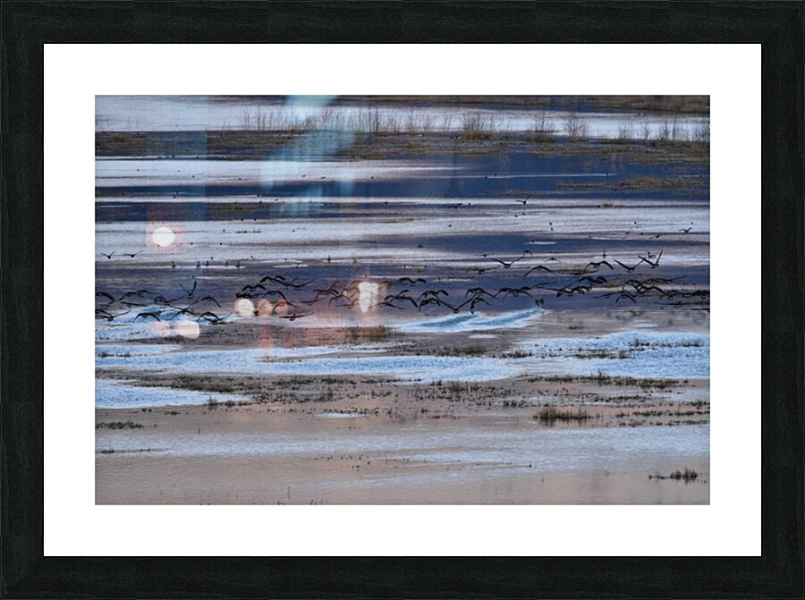 Flight Picture Frame print