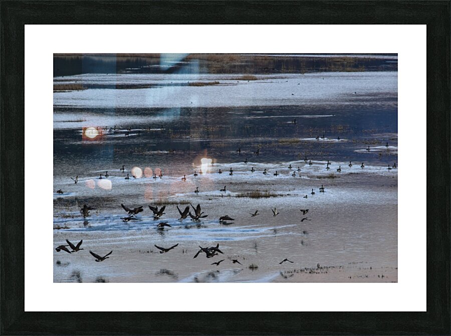 Descent Picture Frame print