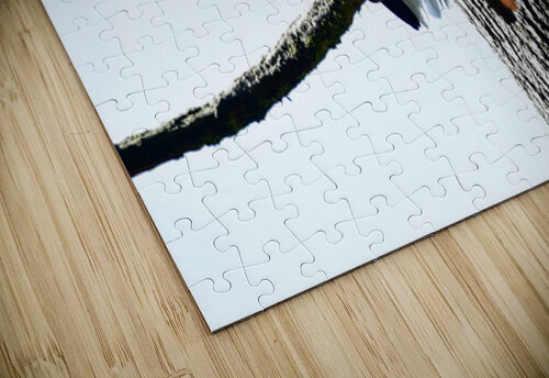 Eagle watch Ruvini De Alwis puzzle