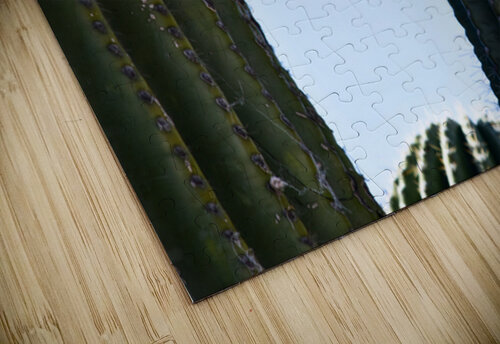 sparrows in a cactus Ruvini De Alwis puzzle