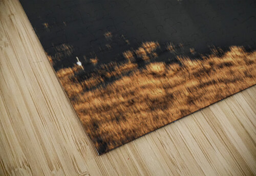 Surface landing edited Ruvini De Alwis puzzle