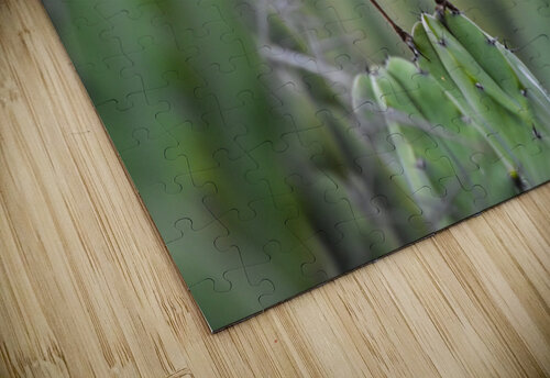 thrasher 1 Ruvini De Alwis puzzle