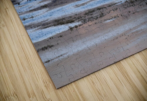 Flight Ruvini De Alwis puzzle