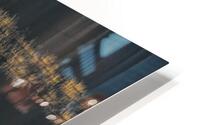 surface gliding 2 HD Metal print