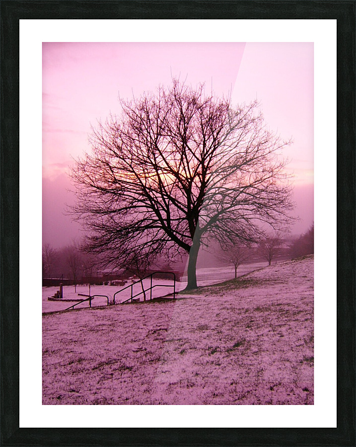 Winter Fog - 2 Picture Frame print