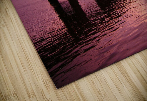 Evening Glory drdekov puzzle