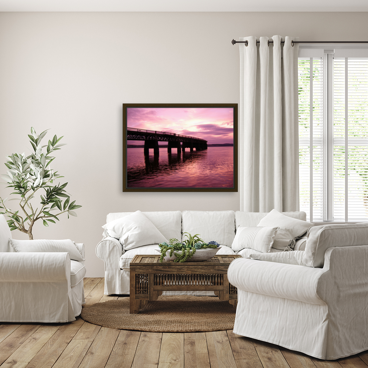 Evening Glory Reproduction