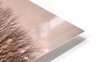 Winter HD Metal print