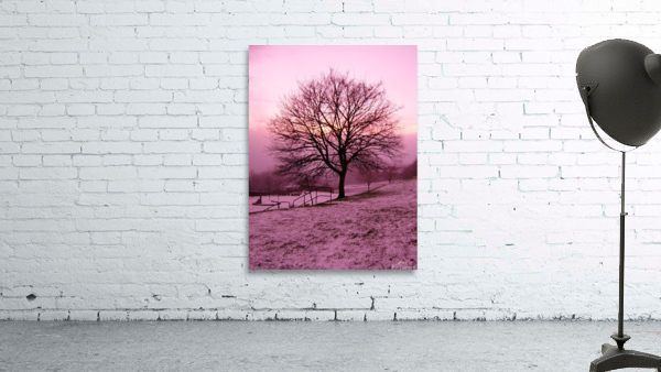 Winter Fog - 2 Wall Preview