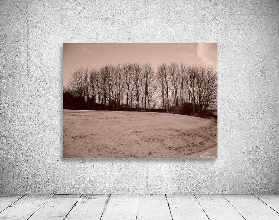 Winter Wall Preview