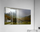 DSC03007 Acrylic Print