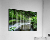  DSC3171 Acrylic Print