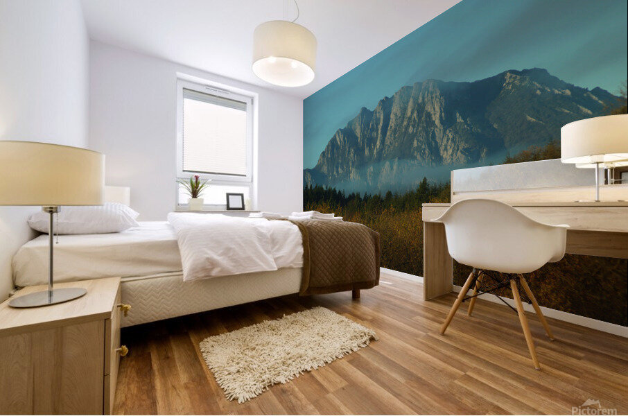 Pic de Bugarach Mural print