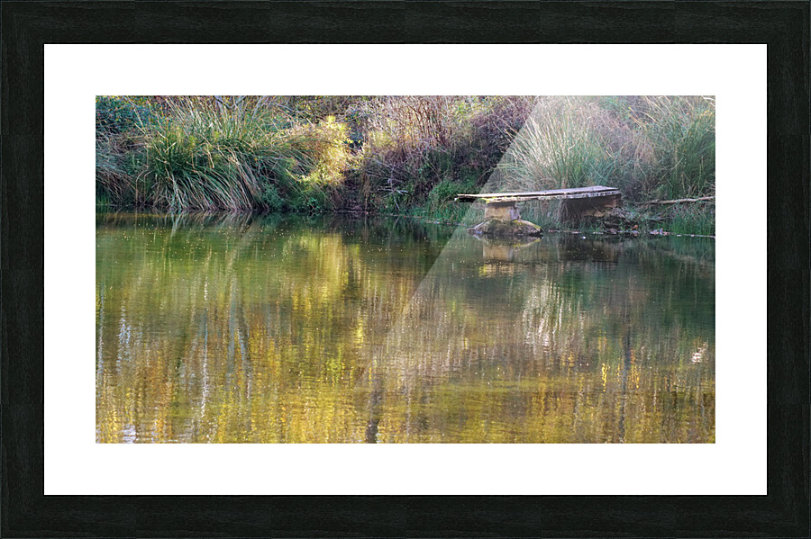 DSC02832 Picture Frame print