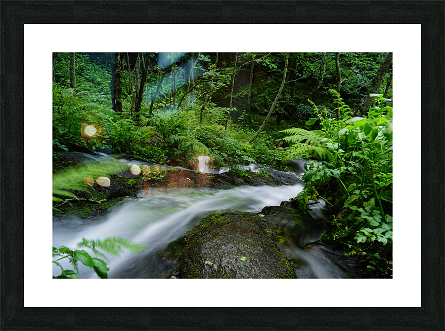  DSC3171 Picture Frame print
