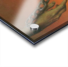 PawelKuczynski43 Acrylic print