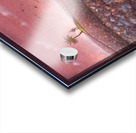 PawelKuczynski69 Acrylic print