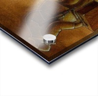 Try to stop Acrylic print