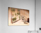 Abacus Acrylic Print