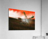 Loop Acrylic Print
