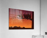 Pawel Kuczynski 24 Acrylic Print