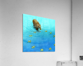 gold fishes Acrylic Print