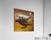 flat world Acrylic Print