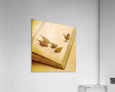 audiobook Acrylic Print