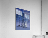 insomnia Acrylic Print