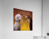 Dogs play Acrylic Print