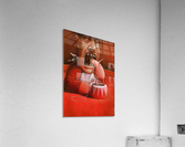 Circus Acrylic Print