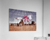 surprise Acrylic Print