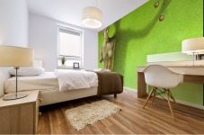 Grece Mural print