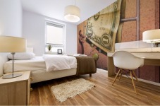 Dollar Mural print