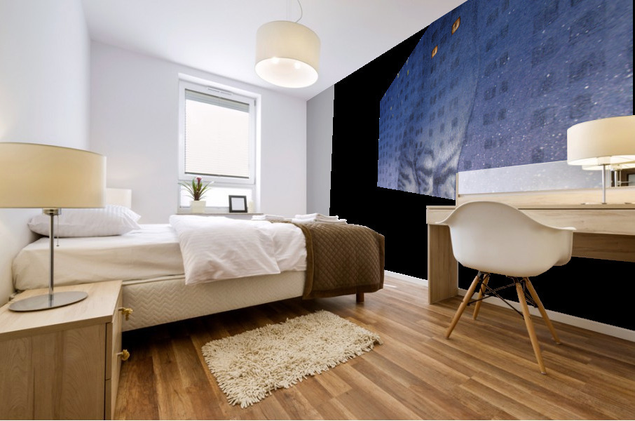 insomnia Mural print
