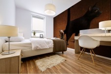 Black cat Mural print